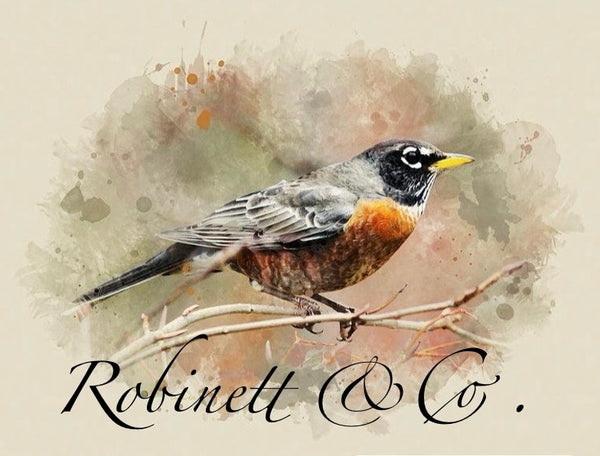 Robinett & Co boutique